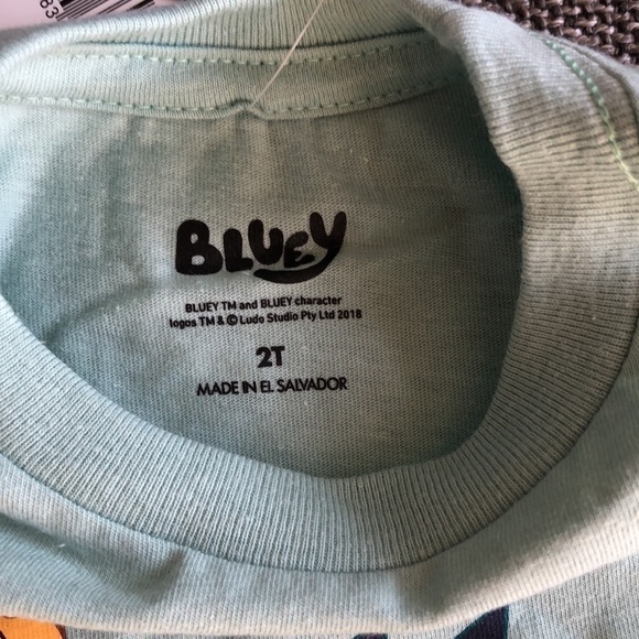 COPY - Moose Toddler Boy Girl Bluey Printed Short Sleeve T-Shirt Green 2T - Picture 3 of 8